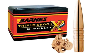 Barnes TSX 9,3mm (.366) FB 250 grain 50 st